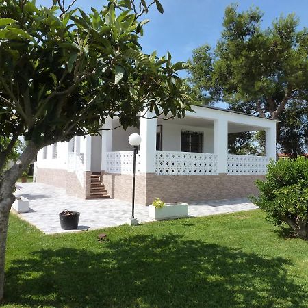 Chalet Verde Tavernes de Valldigna Luaran gambar